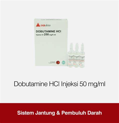 Dobutamine Hcl Injeksi 50 Mgml Kegunaan Efek Samping Dosis Ogb Dexa