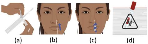 Representative images of the anterior nasal swab procedures. a)... | Download Scientific Diagram