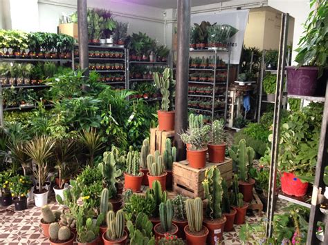 Grande Vente De Plantes D S Sortiraparis