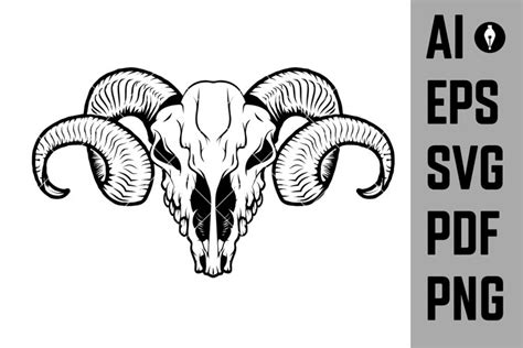 Ram Horn Drawing