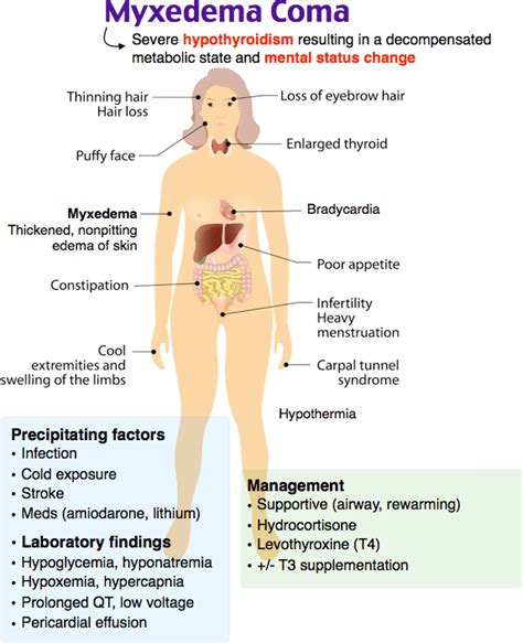 Thyroid Emergencies Rush Emergency Medicine