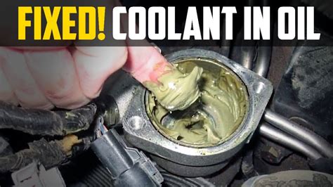 Causes Of Water Mixing With Engine Oil