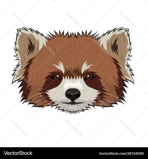 Red Panda Face