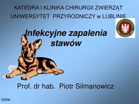 Ppt Katedra I Klinika Chirurgii Zwierz T Uniwersytet Przyrodniczy W