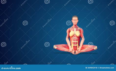 3d Human Baddha Konasan Or Bound Angle Yoga Pose On Blue Background
