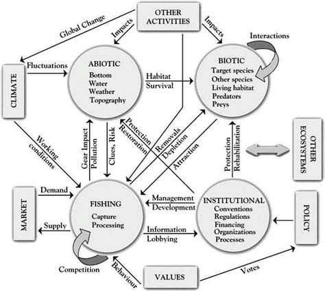 Ecosystem Diagram Fig 1 Schematic Diagram Indicating The Different ...