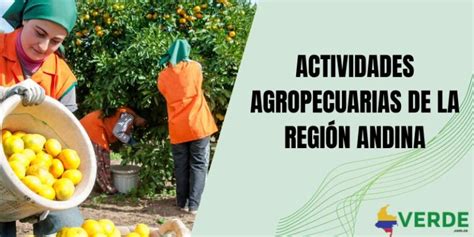 Actividades agropecuarias de la región Andina Colombia Verde