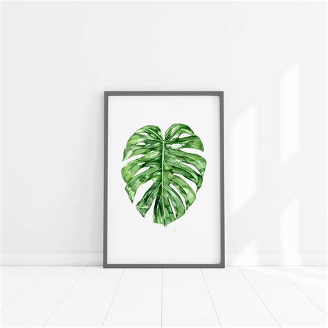 Monstera Deliciosa Plant Watercolor Illustration Digital Etsy