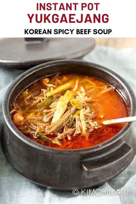 Instant Pot Yukgaejang Korean Spicy Beef Soup 육개장 Recipe Spicy