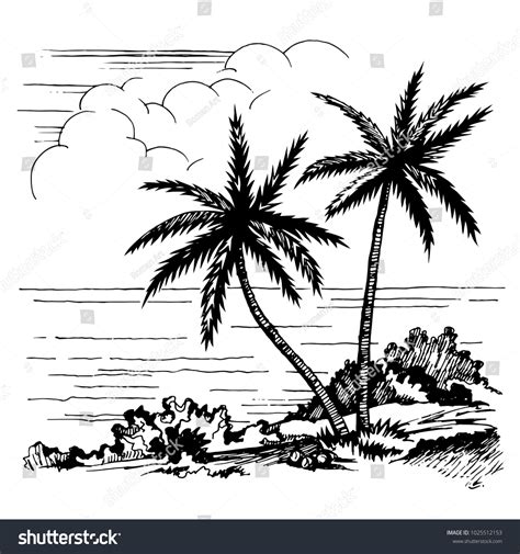 Coconuts On The Beach Drawing