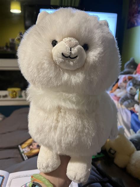 Her Smug Aura Mocks Me Rjellycatplush