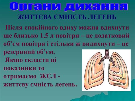 Дихання людини - презентация онлайн