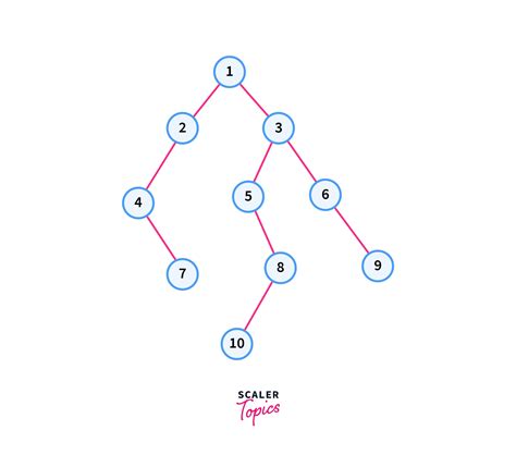 Print Left View Of Binary Tree Scaler Topics