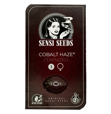 Cobalt Haze Sensi Seeds ფემინიზებული ფოტოპერიოდის თესლი