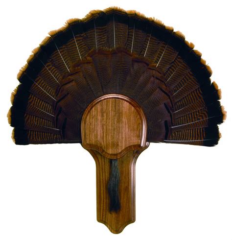 Walnut Hollow Country Deluxe Turkey Mounting Display Kit In Premium