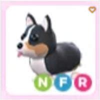 Nfr Royal Corgi Roblox Adopt Me | ID 194016590 | PlayerAuctions