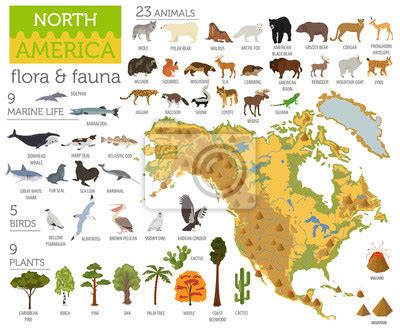 Mapa flory i fauny ameryki północnej elementy płaskie zwierzęta