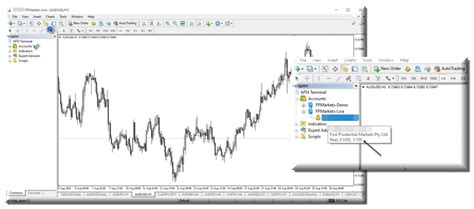 Step By Step Guide To Changing MetaTrader 4 MT4 Leverage Setting FP