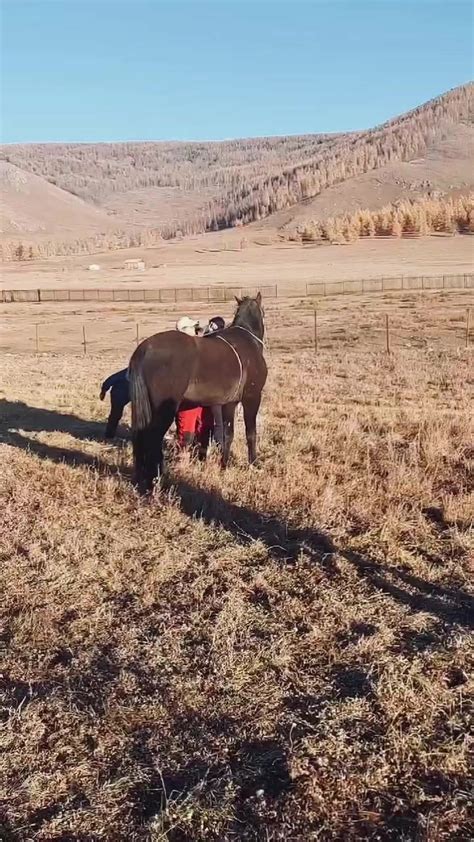 Араб азаргаа сургалаа Эр хүний хийморь юмдаа... - Цэвэр Араб, Англи ...