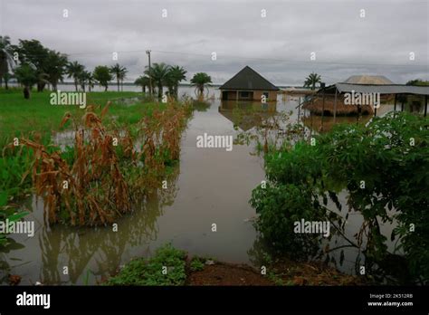 Nigeria benue river hi-res stock photography and images - Alamy