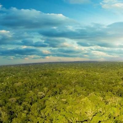 El Parque nacional Yasuní se extiende sobre un área de 9820 kilómetros