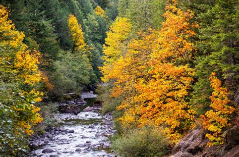 Relax With These 20 Amazing Shots Of Fall Colors In Oregon