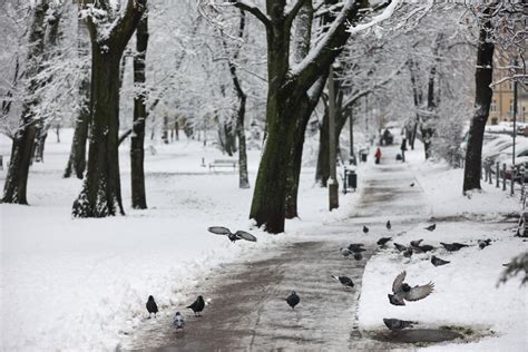 Prognoza pogody na weekend W niedzielę temperatura osiągnie nawet 6