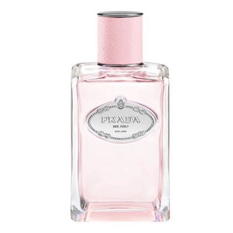 Prada Infusion De Rose Eau De Perfume Spray Ml Niche Perfumes