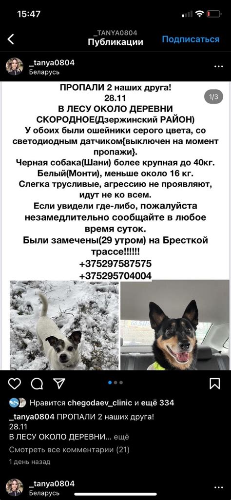 Подслушано Клецк | ВКонтакте