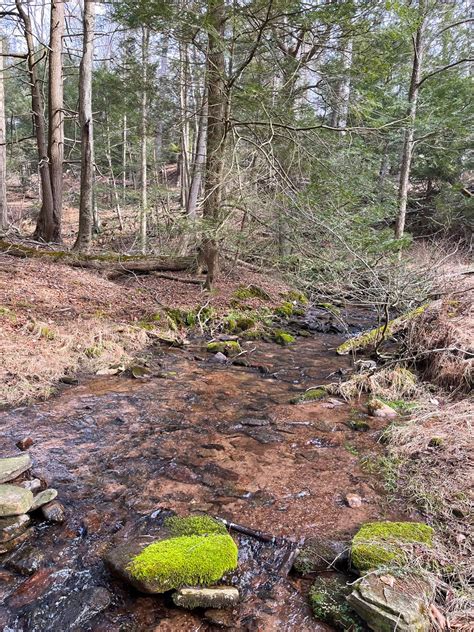 Grant Recipients To Forward Conservation Of The Appalachian Trail