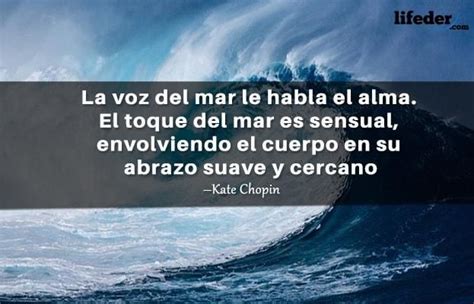 Las Mejores Frases Sobre El Mar Lifeder Frases De La Playa La