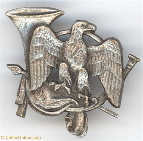 Insigne Du 24 Bataillon De Chasseurs Alpins Militaria Medaglie E