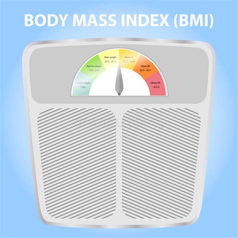 Chelle D Indice De Masse Corporelle Mesure De Bmi Illustration De