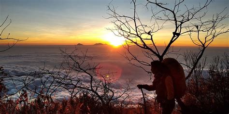 Rute Ke Kawah Gunung Lawu Lewat Jalur Cemara Kandang