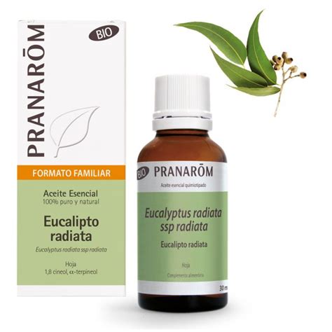 Aceite Esencial De Eucalipto Radiata Bio Ml Pranarom Cero