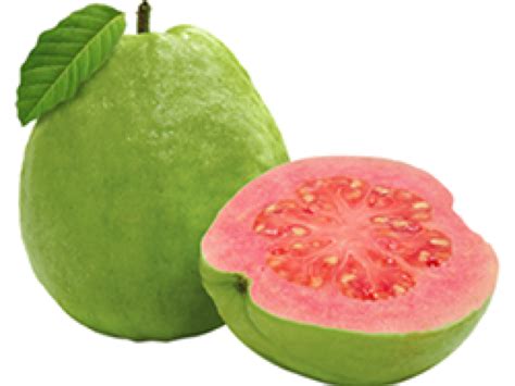 Guava Png