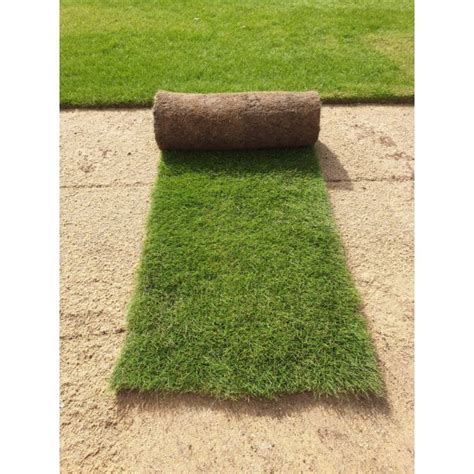 Paspalum Natural Grass Greenway Landscaping L L C