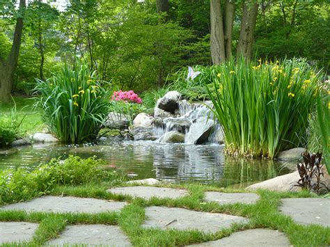 Dry Pond Landscaping Ideas - Best Decorations