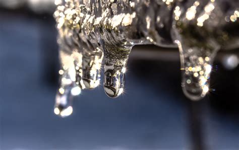 Images Gratuites Eau La Nature Branche Du Froid Hiver Laissez