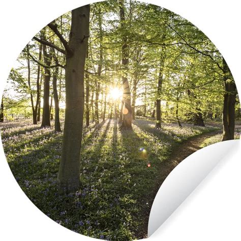 Wallcircle Muurstickers Behangcirkel Bos Boom Zon Cm