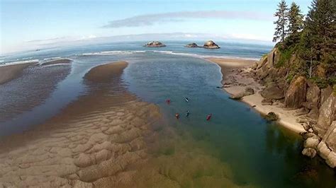 Wolverines Found in Oregon | Season 25 Episode 2503 | Oregon Field