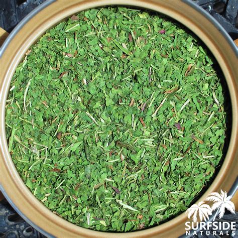 Wild Lettuce | Leaf | Certified Organic | Lactuca Virosa – Surfside