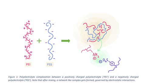 Polyelectrolyte complexes as sustainable, functional coatings - WUR