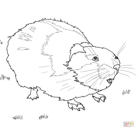 How To Draw A Lemming