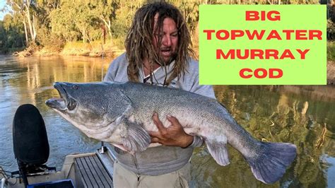 Catch My Drift 6 Days On The Murray River Fishing For Murray Cod