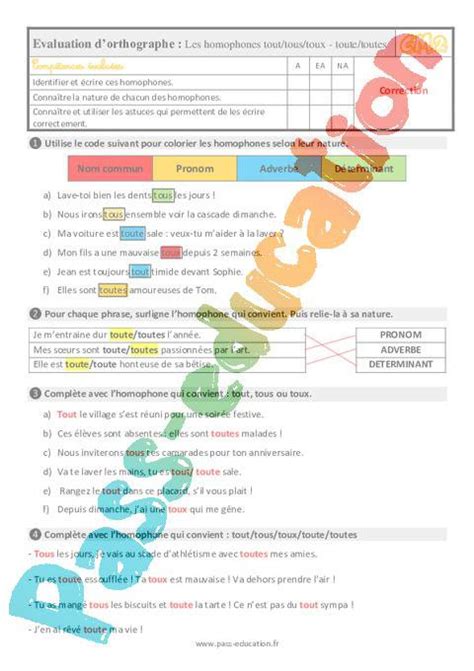 Les homophones tout tous toux toute toutes au Cm2 Évaluation