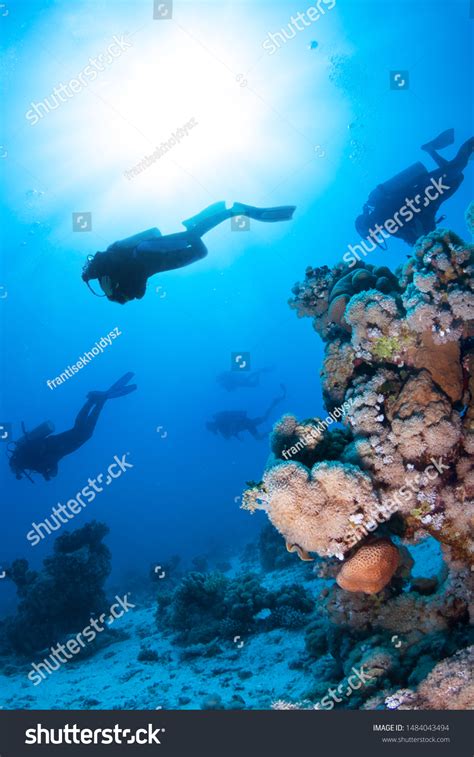 Group Scuba Divers Swim Over Coral Stock Photo 1484043494 Shutterstock