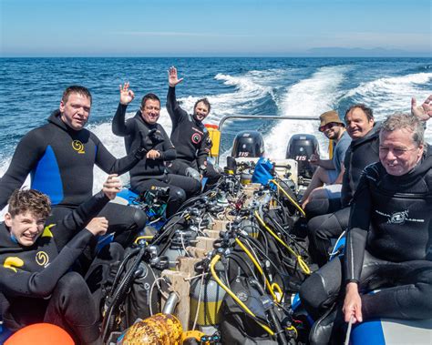 Best Advice For Happy Scuba Diving In Cape Town Indigo Scuba