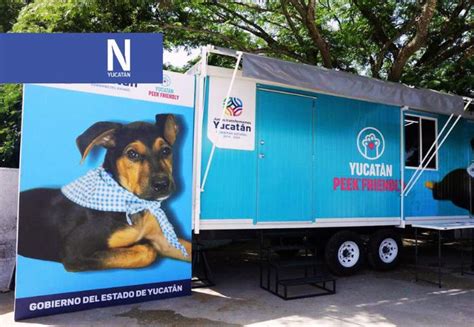 Presentan proyecto Peek Friendly con el que esterilizarán y