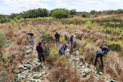 Prefeitura De S O Domingos Do Cariri Distribui Mil Raquetes De